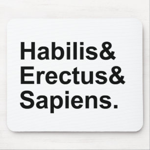 Habilis Erectus Sapiens   Members of Genus Homo Mouse Mat