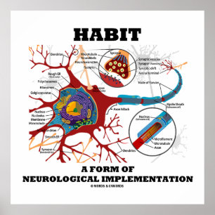 Habit A Form Of Neurological Implementation Neuron Poster