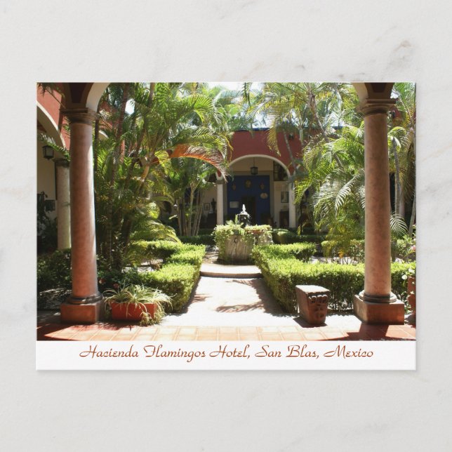 Hacienda Flamingos San Blas Mexico Postcard (Front)