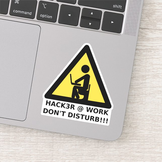 Hacker at work (Detail)