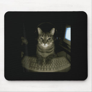 Hacker Cat Meme Funny Computer Cat Kitten Gamer Ca Mouse Mat