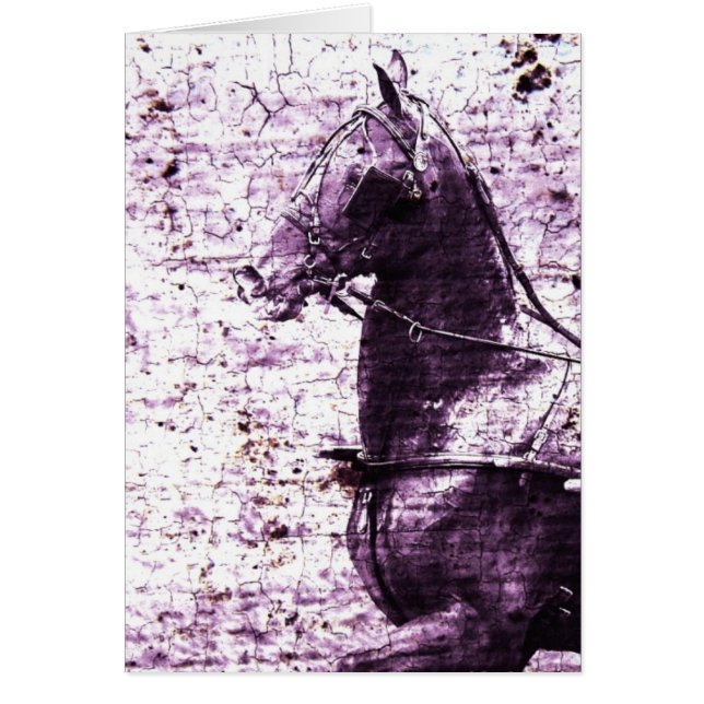 Hackey Crackle Digital Art (Front)