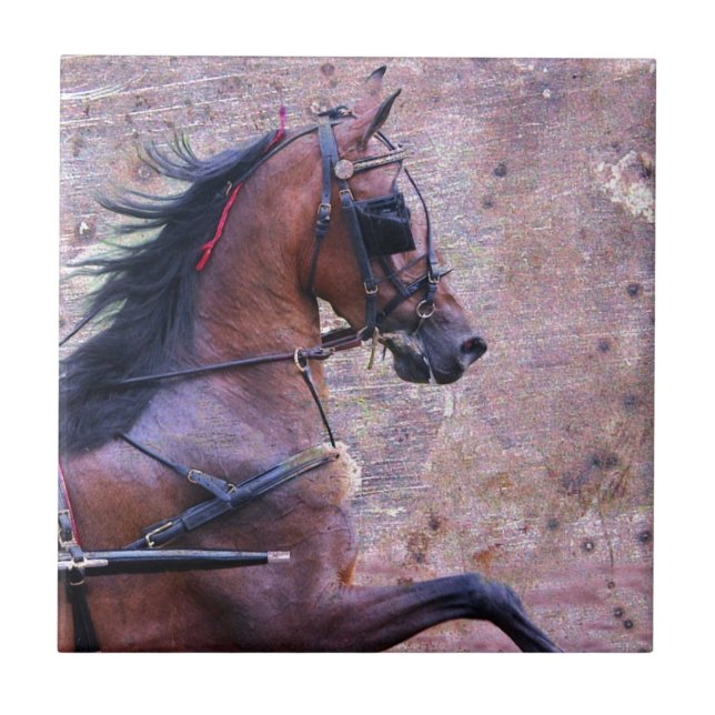 Hackney Grunge Tile (Front)