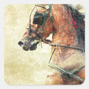 Hackney Pony Square Sticker