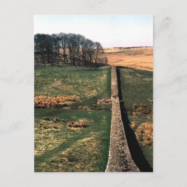 Hadrian's Wall | Postcard (Front)