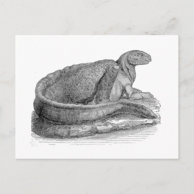 Hadrosaurus Sculpture Antique Print Postcard (Front)