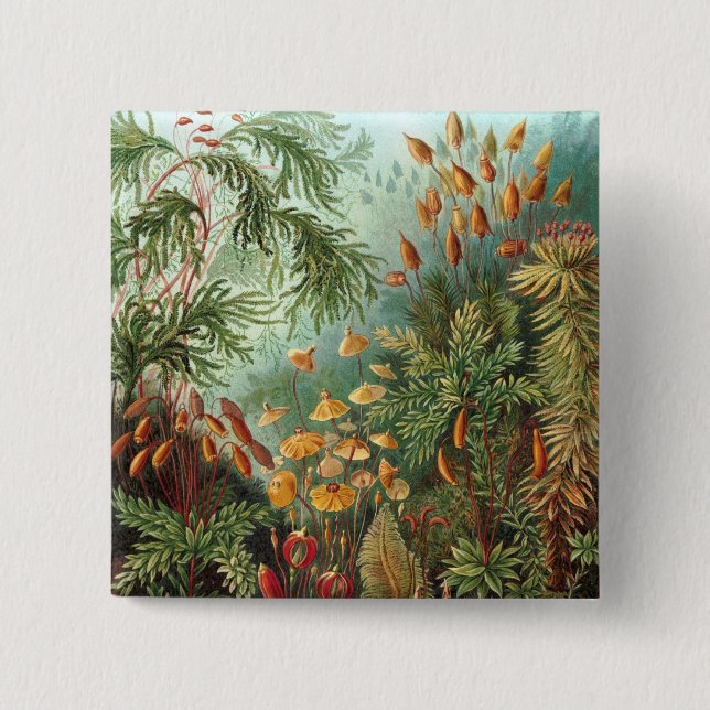 Haeckel 15 Cm Square Badge (Front)
