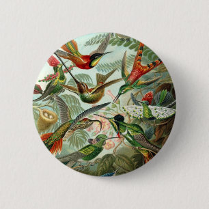 Haeckel 6 Cm Round Badge