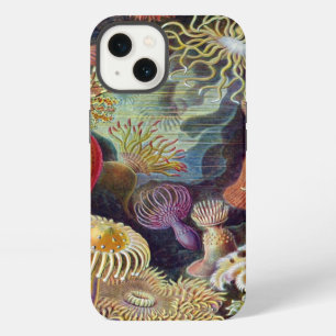 Haeckel Actiniae Vintage Print iPhone 13 Case