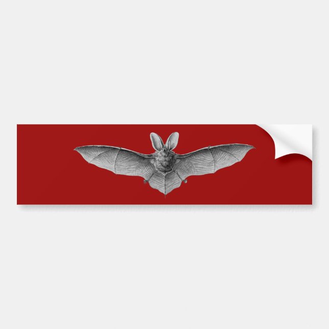 Haeckel Bat Bumper Sticker (Front)