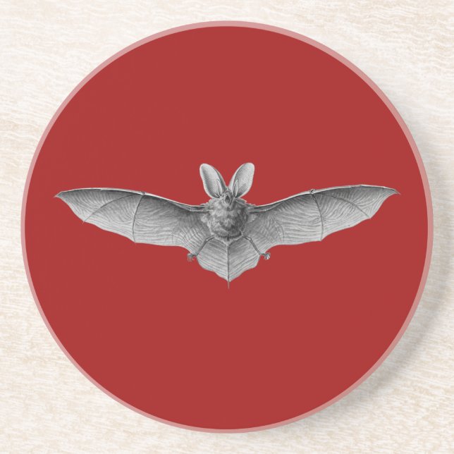 Haeckel Bat Coaster (Front)