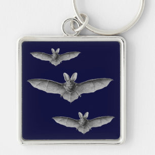 Haeckel Bat Key Ring