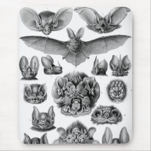 Haeckel Bats Mouse Mat