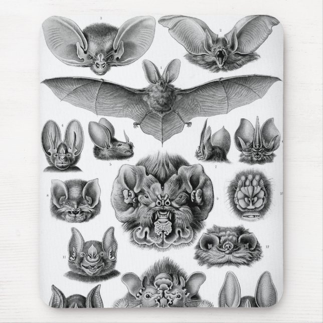 Haeckel Bats Mouse Mat (Front)