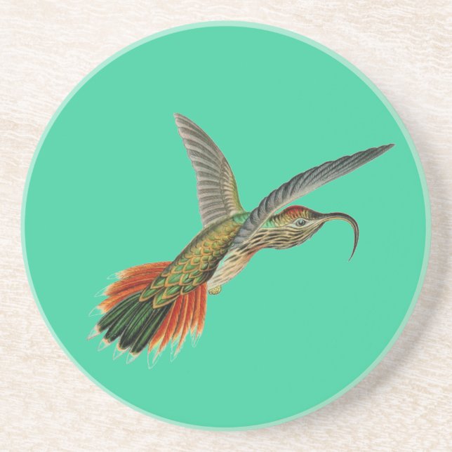 Haeckel Bird Coaster (Front)