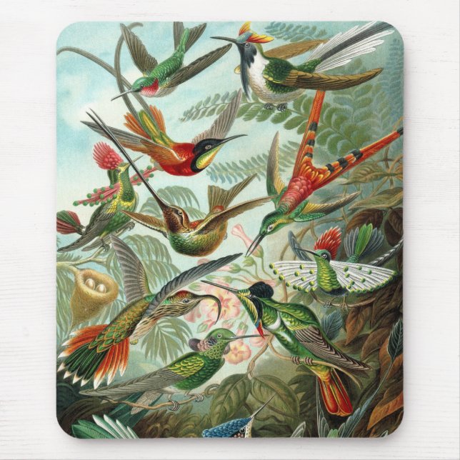 Haeckel Birds Mouse Mat (Front)