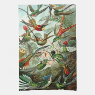 Haeckel Birds Tea Towel