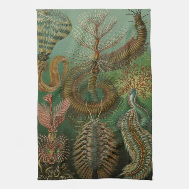 Haeckel Bugs Tea Towel (Vertical)