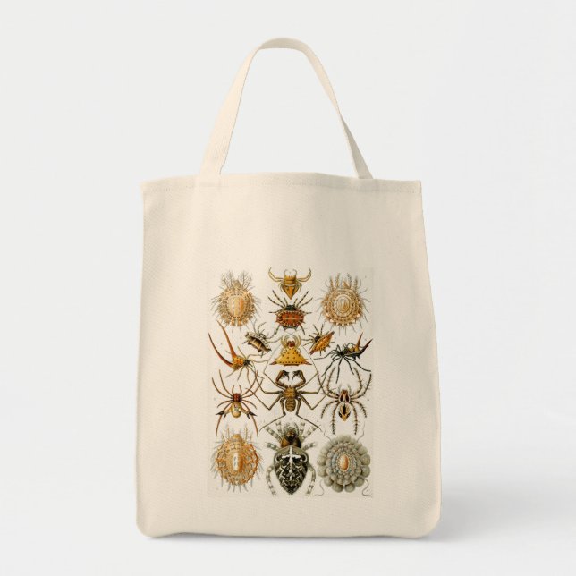 Haeckel Bugs Tote Bag (Front)