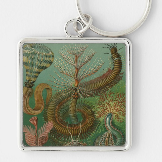Haeckel Centipedes Key Ring (Front)