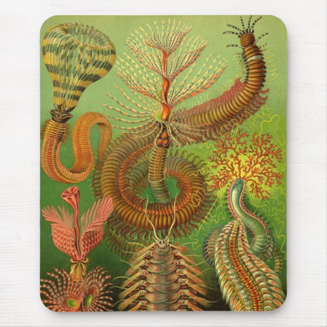 Haeckel Centipedes Mouse Mat (Front)