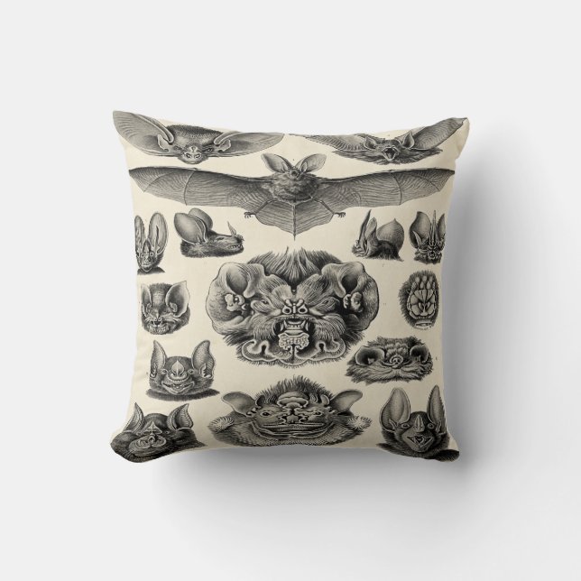 Haeckel Chiroptera Cushion (Front)