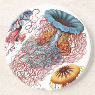 Haeckel Coaster