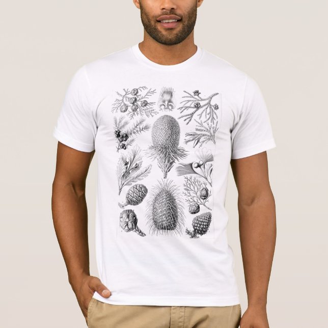 Haeckel Conifer Illustration T-Shirt (Front)