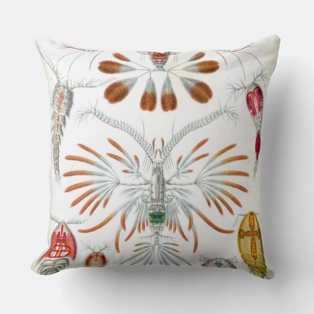 Haeckel Copepoda Cushion (Front)