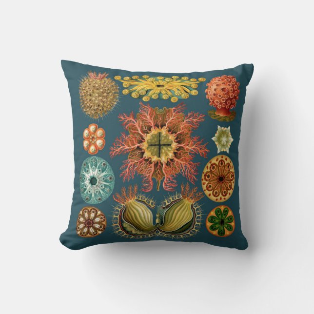 Haeckel Echinoderm pillow teal (Front)
