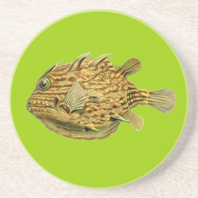 Haeckel Fish Coaster (Front)