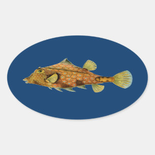Haeckel Fish Oval Sticker