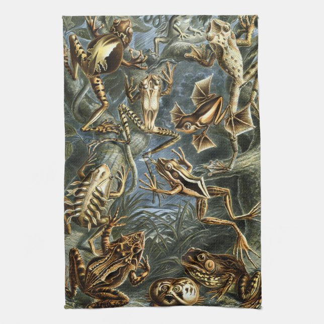 Haeckel Frogs Tea Towel (Vertical)