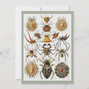 Haeckel Golden Spiders plate 66 Invitation