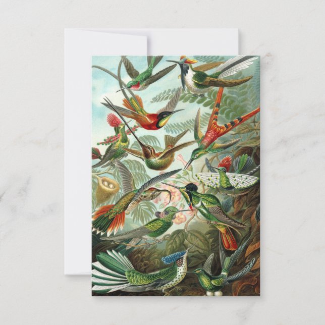 Haeckel Hummingbirds all-occasion greeting card (Front)
