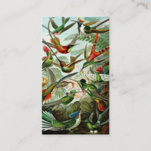 Haeckel Hummingbirds Business Card