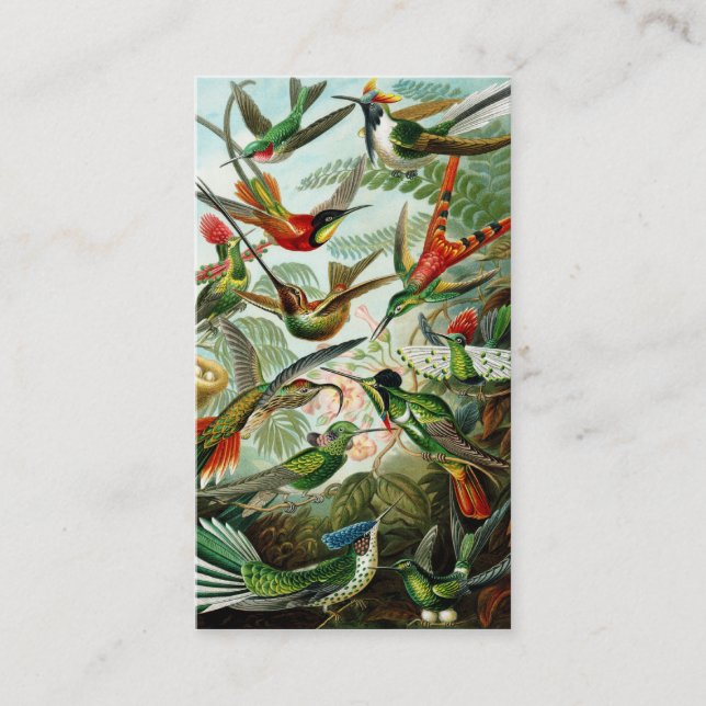 Haeckel Hummingbirds Business Card (Front)