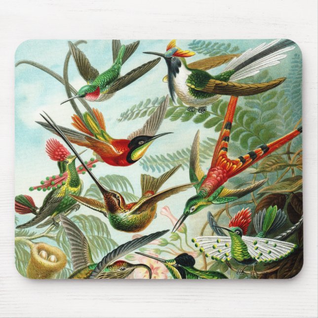 Haeckel Hummingbirds Mouse Mat (Front)