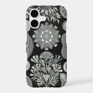 Haeckel iPhone 7 case - Diatomea