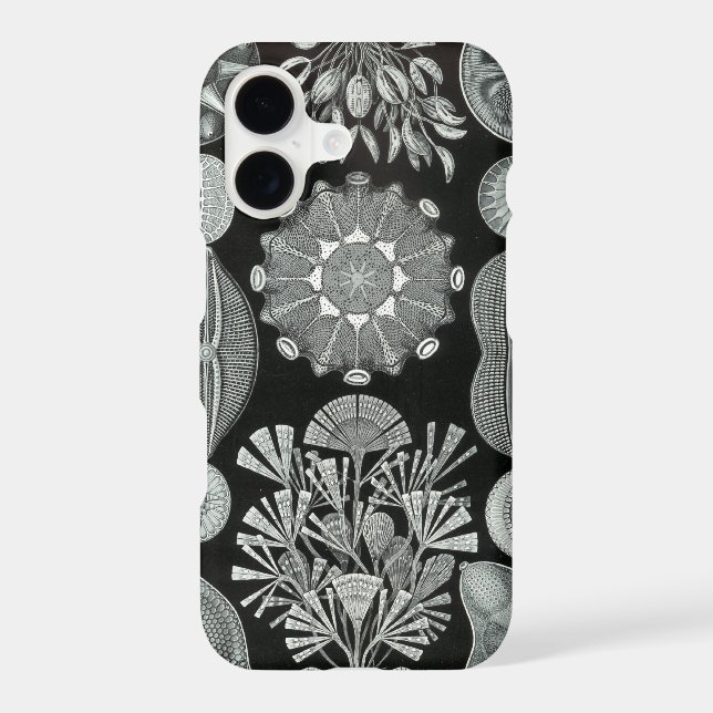 Haeckel iPhone 7 case - Diatomea (Back)