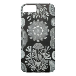 Haeckel iPhone 7 case - Diatomea