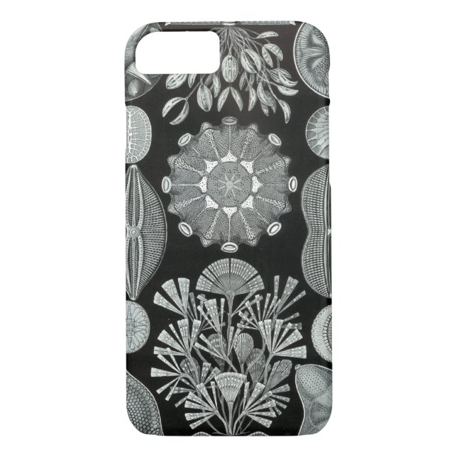 Haeckel iPhone 7 case - Diatomea (Back)