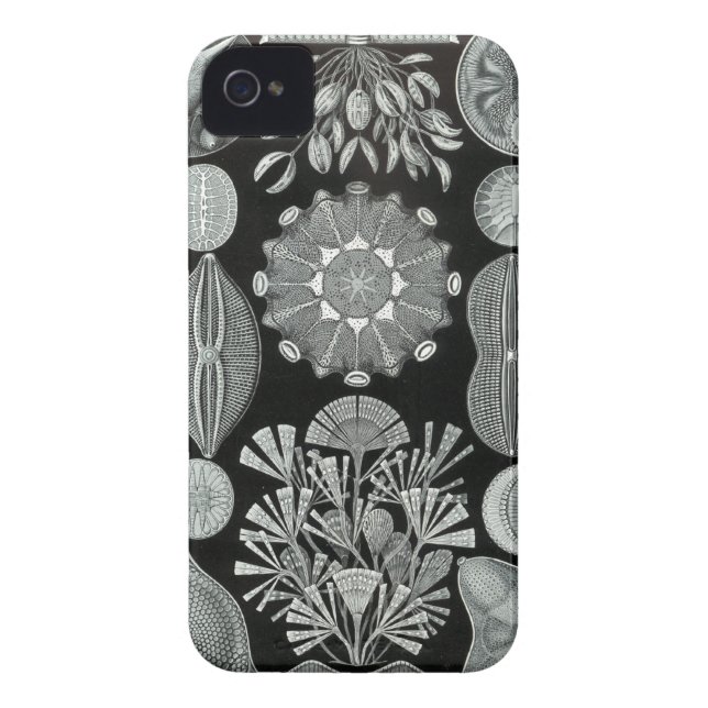 Haeckel iPhone Case - Diatomea (Back)