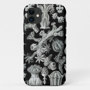 Haeckel iPhone Case - Gorgonida