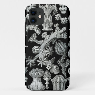 Haeckel iPhone Case - Gorgonida