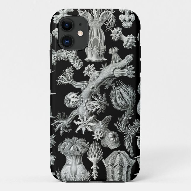 Haeckel iPhone Case - Gorgonida (Back)