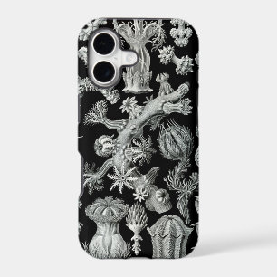 Haeckel iPhone Case - Gorgonida