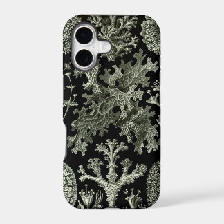 Haeckel iPhone Case - Lichenes