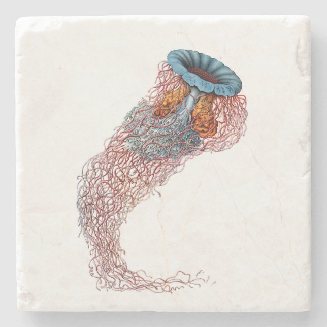 Haeckel Jellyfish Coaster (Front)