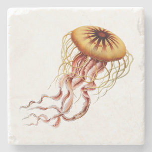 Haeckel Jellyfish Coaster